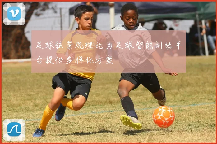 足球弦景观理论为足球智能训练平台提供多样化方案
