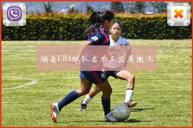 湖南CBA球队名单及发展概况