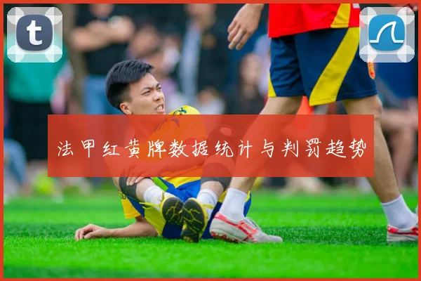法甲红黄牌数据统计与判罚趋势