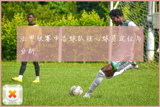 法甲联赛中各球队核心球员定位与分析